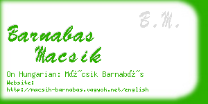 barnabas macsik business card